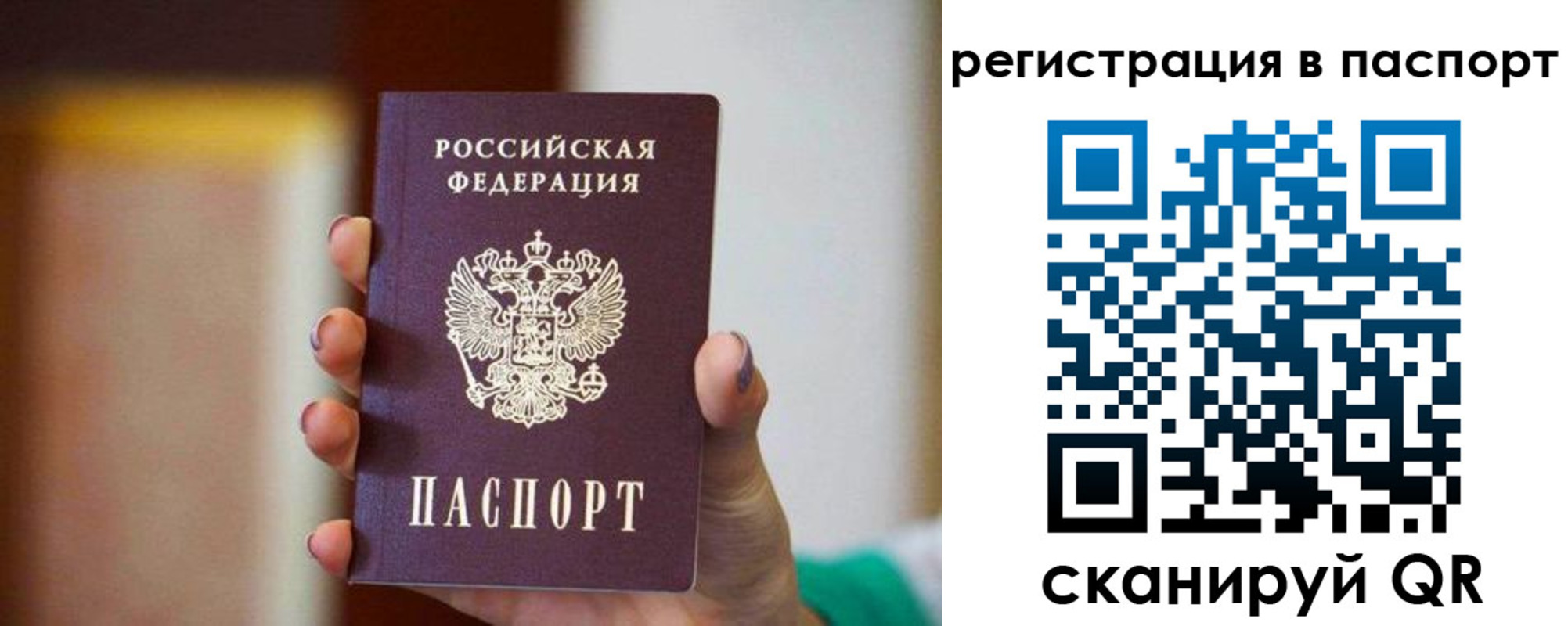временная регистрация гарантия в Светлогорске