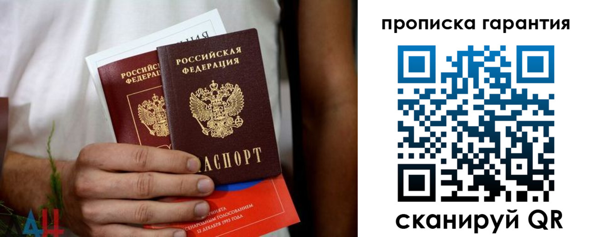 прописка в квартире в Светлогорске