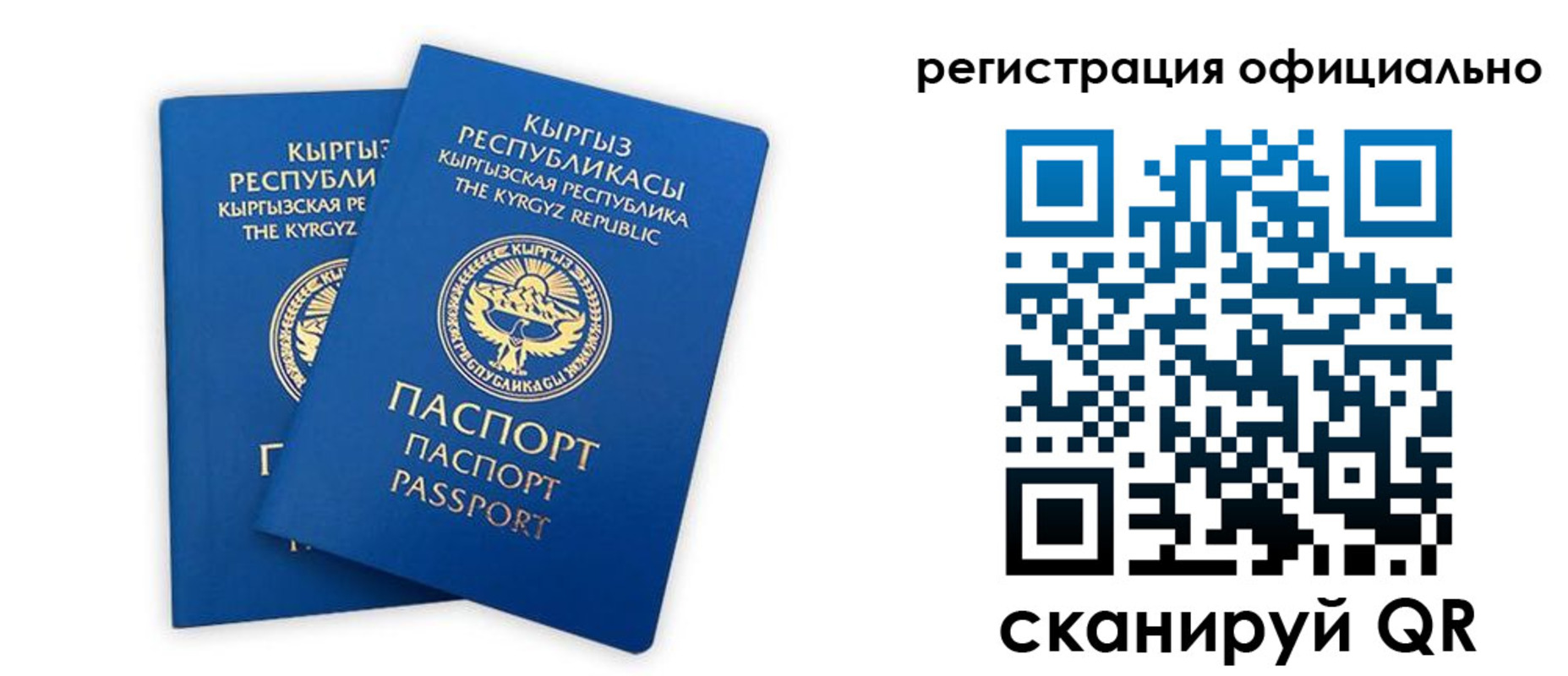 прописка поиск в Светлогорске
